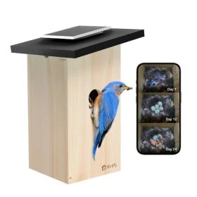 Birdfy Nestkast met camera Ebony Lite Slim Vogelhuisje Op Zonne-energie en AI-Vogelherkenning