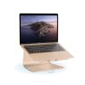 Rain Design 360 mStand Laptop Stand goud sticky