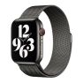 Apple Milanese Loop sticky