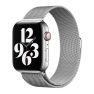 Apple Milanese Loop sticky
