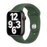 Apple Sport Band Apple Watch 38mm / 40mm / 41mm / 42mm Clover sticky