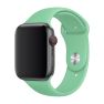 Apple Sport Band Apple Watch 38mm / 40mm / 41mm / 42mm Spearmint sticky