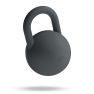 Bala 4.5kg Kettle Bal sticky