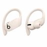 Beats Powerbeats Pro sticky