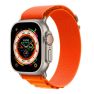 Apple Alpine Loop Apple Watch sticky