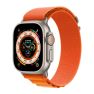 Apple Alpine Loop Apple Watch sticky