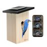 Birdfy Ebony sticky