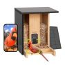 Birdfy Bamboe Slim vogelhuisje met Camera en AI-Vogelherkenning op Zonne-energie  - Camera in nestkast sticky