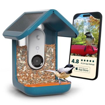 Bird Buddy Slim Vogelhuisje met camera en zonnepanelen 2.0 blauw - Camera in nestkast