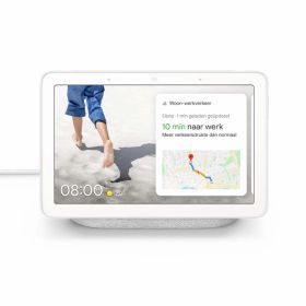 Google Nest Hub grijs