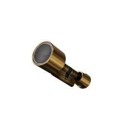 Bold Elite Smart Lock Cilinder SX33 Brass