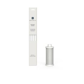 WaterH PureSip Filtration Upgrade Kit Adapt  - 1 filter / 4 straws