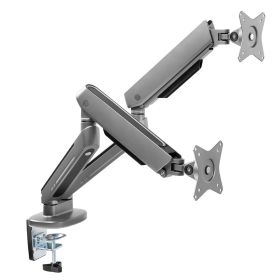 Ranqer Monitor Arm Dual RGB space gray