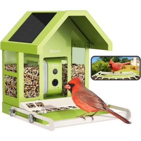 Birdfy Metalen Lite Slim Vogelvoederhuisje op Zonne-energie met Camera en AI-Vogelherkenning