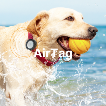 Categorie Catalyst AirTag image